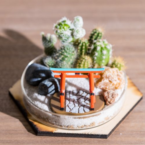 微景設計 培養皿上的枯山水 - 多肉植物與仙人掌 禮物