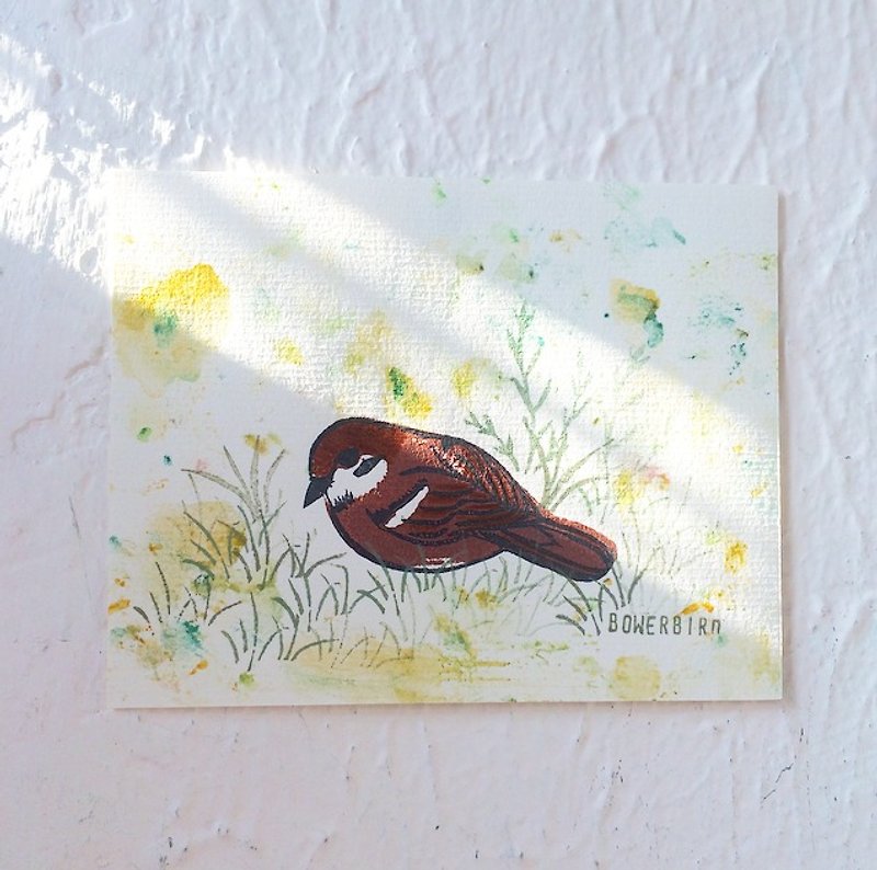 Sparrow Wild Bird Postcards - Cards & Postcards - Paper Yellow