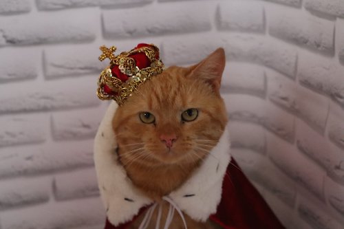 RedKing Set of Royal Crown and Velvet Cape for Pets | Birthday Crown For Animals