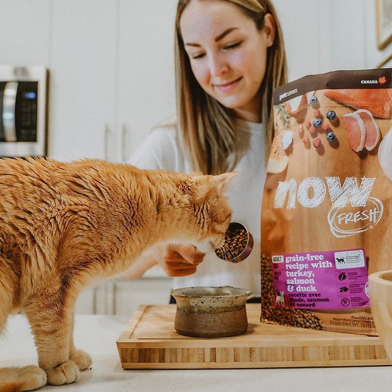 【Cat Staple Food】now Fresh Meat Grain-Free Adult Cat Formula Natural Food Feed Cat Food Indoor Cat - อาหารแห้งและอาหารกระป๋อง - อาหารสด สีส้ม