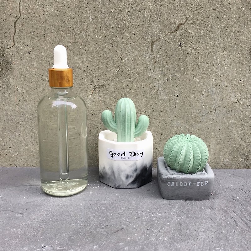 Cactus Combination + Flavor 100ml - Fragrances - Other Materials Green
