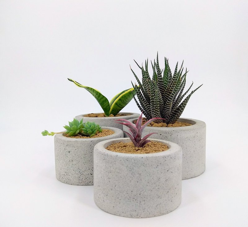Cement Cement potted Cement planting (without plants) - Plants - Cement Gray