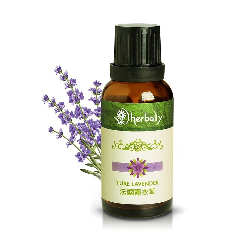 Purely natural single essential oil - French real lavender [the first choice for non-toxic fragrance] - Fragrances - Plants & Flowers 