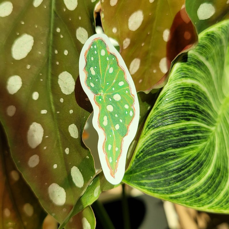 กระดาษ สติกเกอร์ สีเขียว - Houseplants Sticker