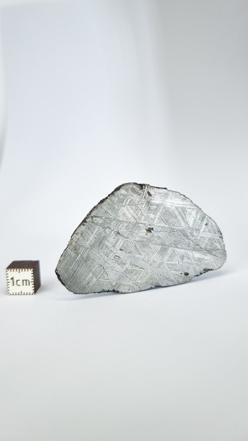 ムオニオナルスタ隕石スライス101.2g ムオニオナルスタ隕石スライス101.2g