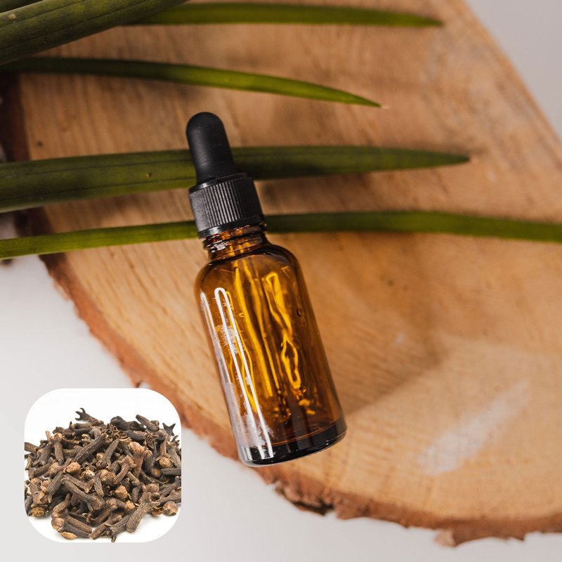 【香間小路】天然精油 丁香精油 Clove ( 贈送甜橙精油10ml ) - 香氛/精油/擴香 - 玻璃 透明