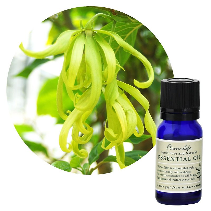 【Ylang Ylang Essential Oil】Cananga odorata (Ylang Ylang) - Fragrances - Essential Oils 