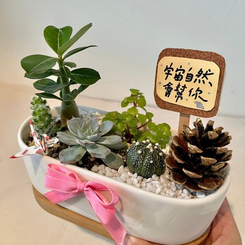 墨池遊工作室 枯山水 松果 日式 開幕送禮 多肉組盆 多肉植物 創意盆栽 多肉盆