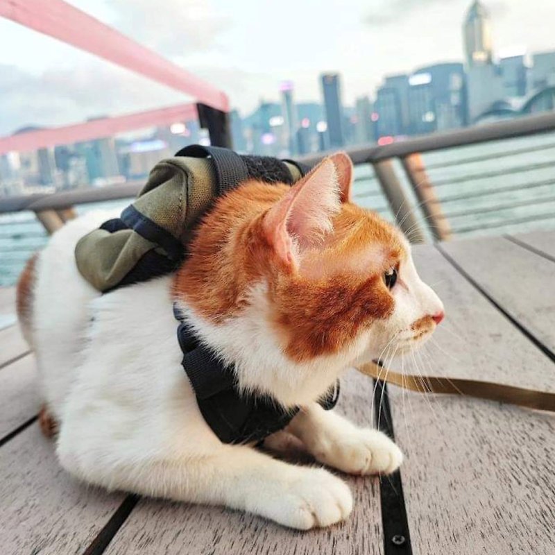 Onetigris Eureka Cat Backpack - ชุดสัตว์เลี้ยง - ไนลอน หลากหลายสี
