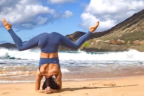 asana yoga 新色登場asana經典大挖背bra運動內衣 美背深U 吸溼排汗-煙波藍
