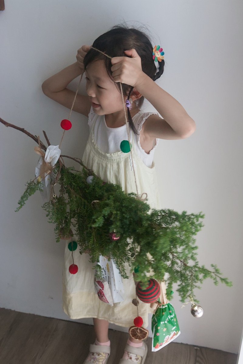 【三重親子聖誕課程】 松香聖誕降臨曆  | 親子手作活動 - 植栽/花藝 - 植物．花 