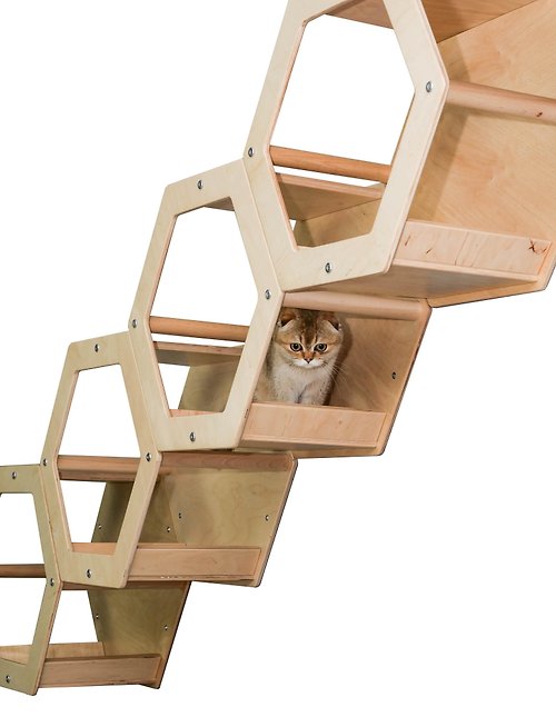 WowHelperCo 4 Hexagon shelves Cat wall jungle gym Cat house modern Wooden cat beds