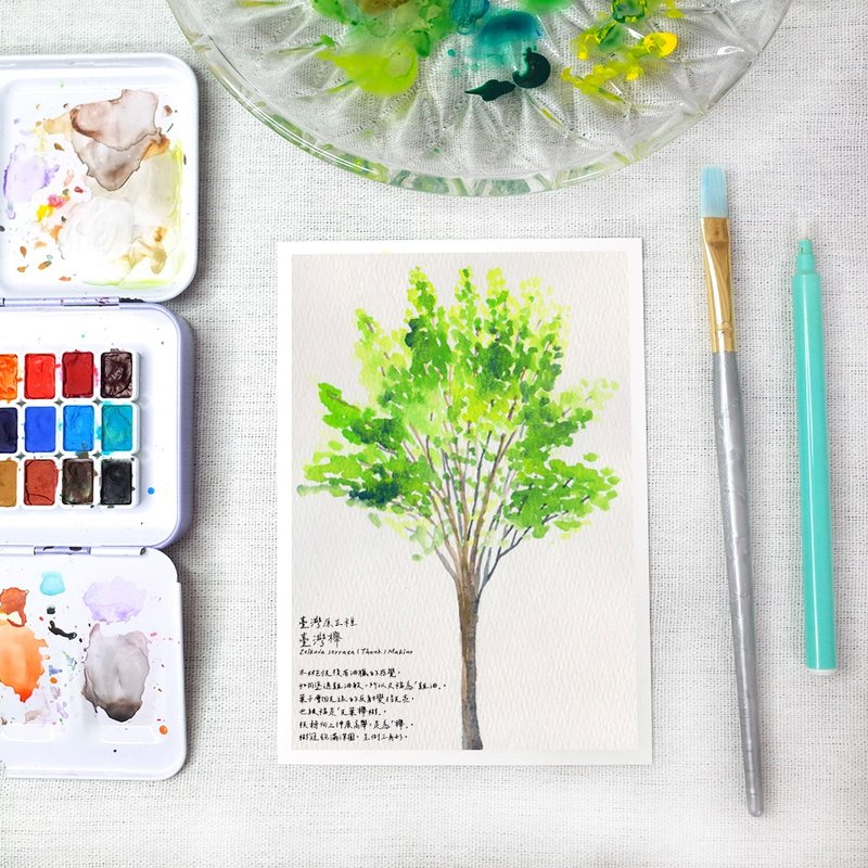 Original watercolor postcard Taiwan native species Taiwan beech - การ์ด/โปสการ์ด - กระดาษ สีเขียว