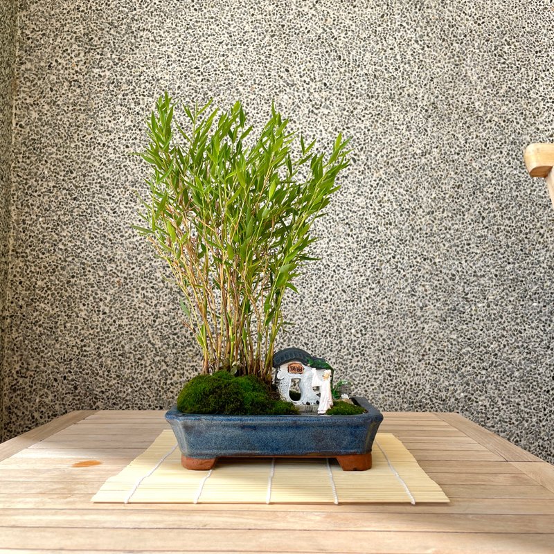 小さな盆栽と日本の竹の組み合わせ盆栽 開店記念ギフト - 観葉植物 - 寄せ植え・花 