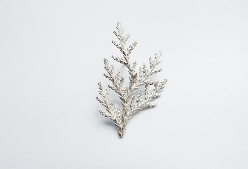 植物標本別針-扁柏 - 徽章/別針 - 純銀 銀色