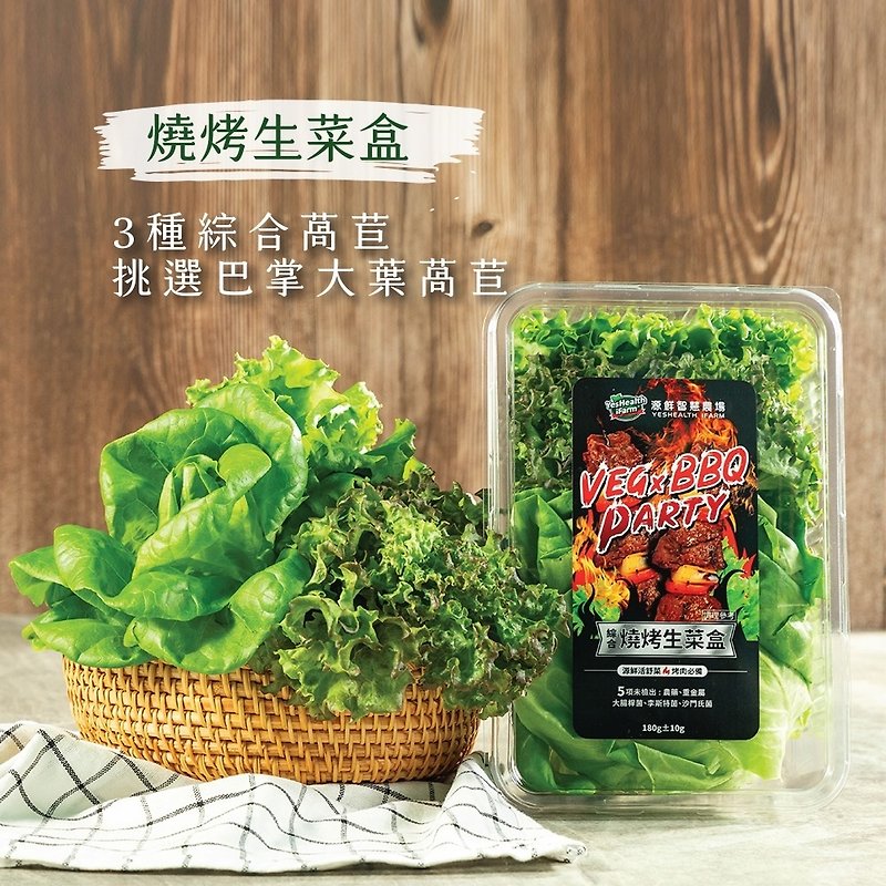 [Yuanxian Smart Farm] BBQ Lettuce Box (180g/box) - Other - Fresh Ingredients 