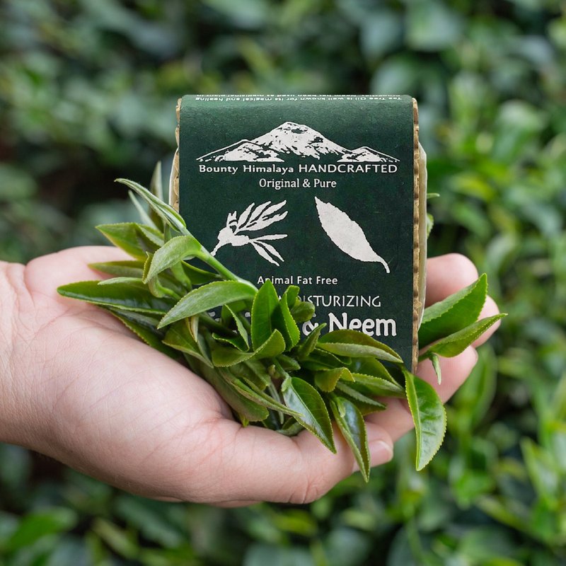 尼泊爾喜馬拉雅之寶茶樹+苦楝清肌爽膚養髮皂100g(全力呵護肌膚) - 肥皂/手工皂 - 其他材質 綠色