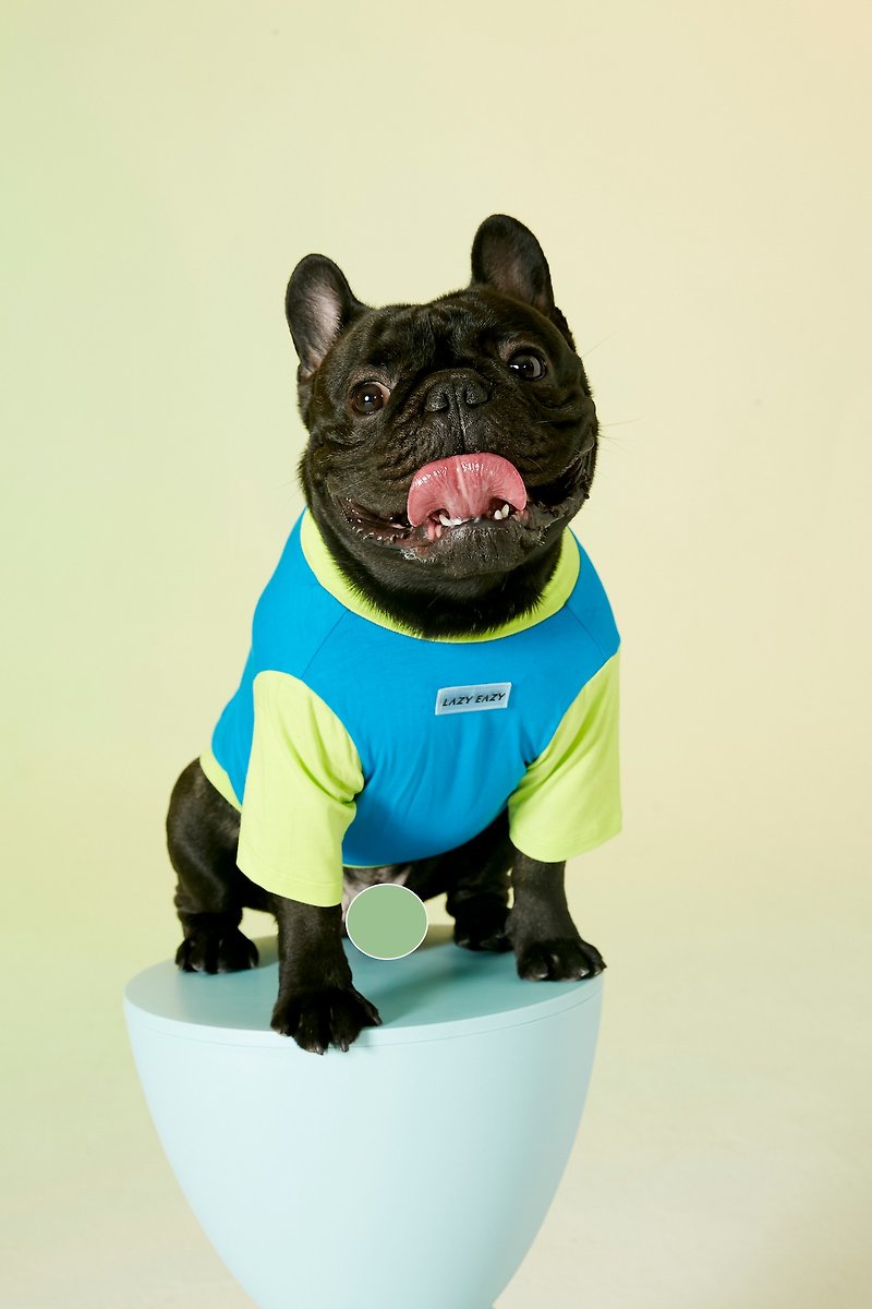 Dog print stitching T-shirt medium dog clothing - ชุดสัตว์เลี้ยง - ผ้าฝ้าย/ผ้าลินิน สีน้ำเงิน