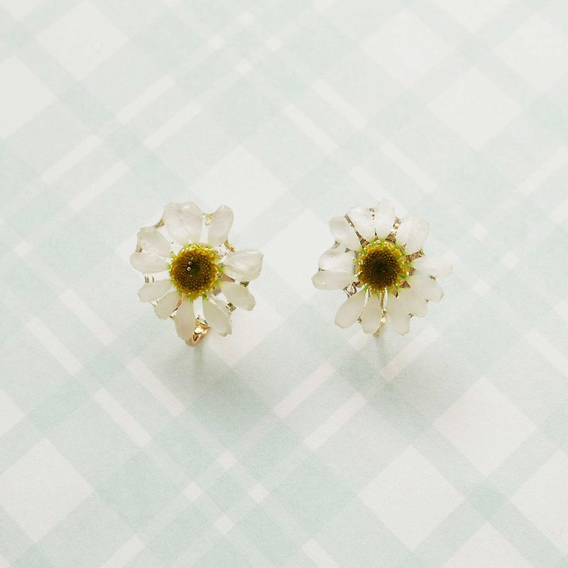 Real Matricaria recutita earrings - ต่างหู - เรซิน ขาว