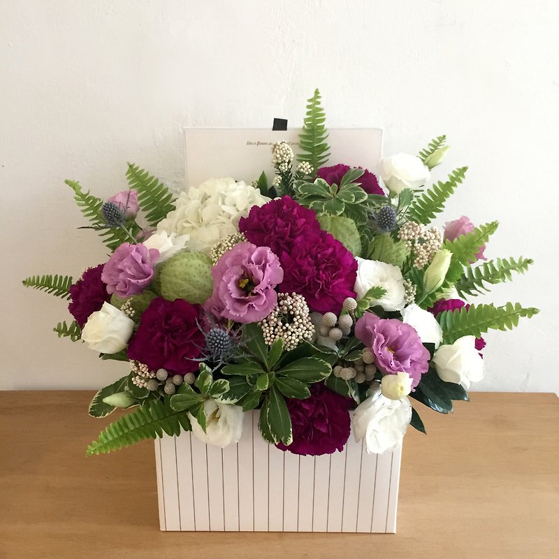 Flowers │ Purple Dafang Potted Flowers │ Mother's Day Carnation Flower │ │ Self-acquisition │ Distribution limited Taipei area - Dried Flowers & Bouquets - Plants & Flowers Purple