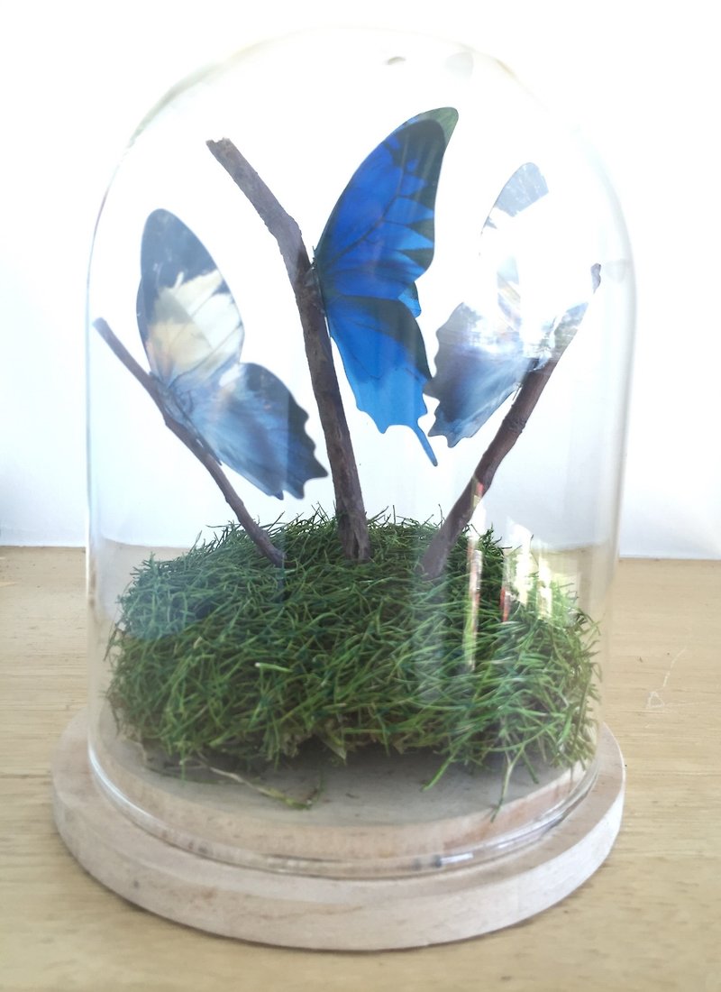 ［純自然］彩蝶幻境 玻璃鐘罩 藍 蝴蝶 枯枝 藝品 設計 送禮 - 裝飾/擺設  - 玻璃 藍色