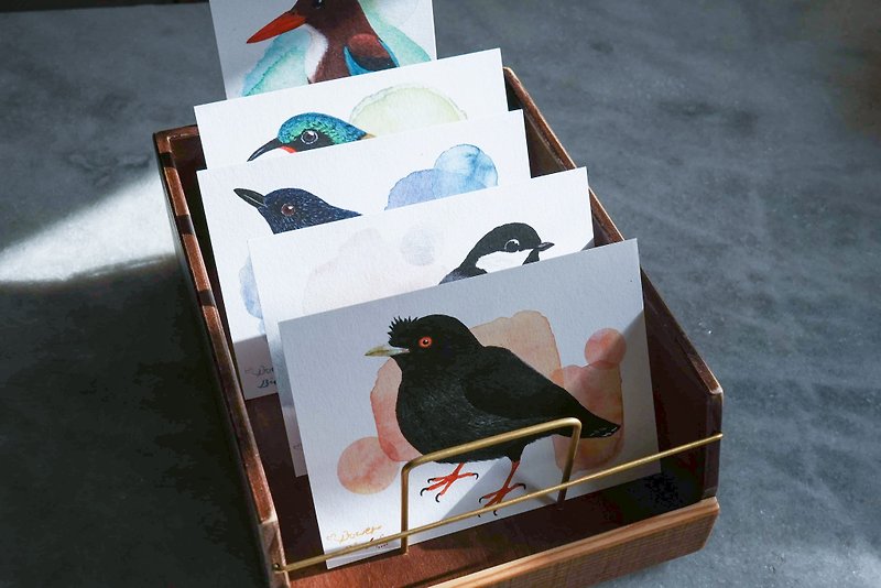 香港野鳥マイナ水彩イラストはがき - カード・はがき - 紙 ブラック