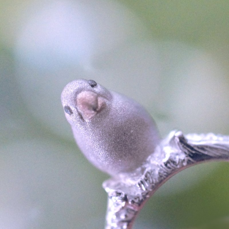 Hand-riding Java sparrow ring - General Rings - Sterling Silver White