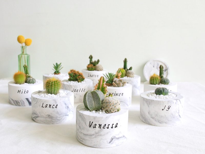 Marbled Cement potted plant with customized English letters - Plants - Cement Gray
