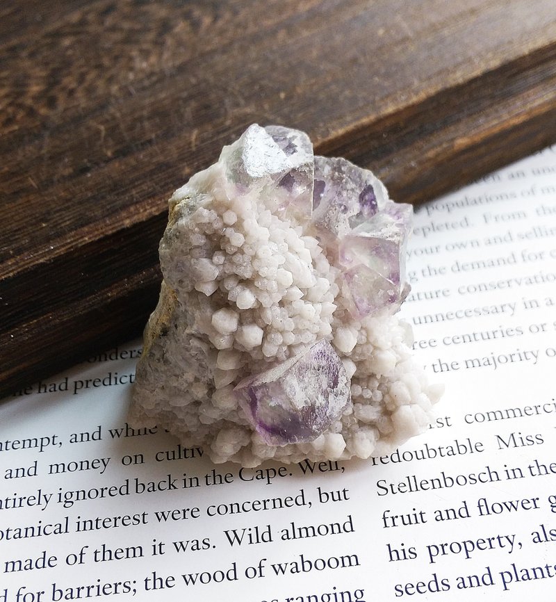 Fluorite 內蒙產地 紫螢石 蠟燭水晶共生 天然礦石 原礦 - 擺飾/家飾品 - 其他材質 