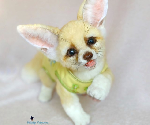 Realistic fennec fox toy - Shop MoonFoxToys Stuffed Dolls & Figurines -  Pinkoi