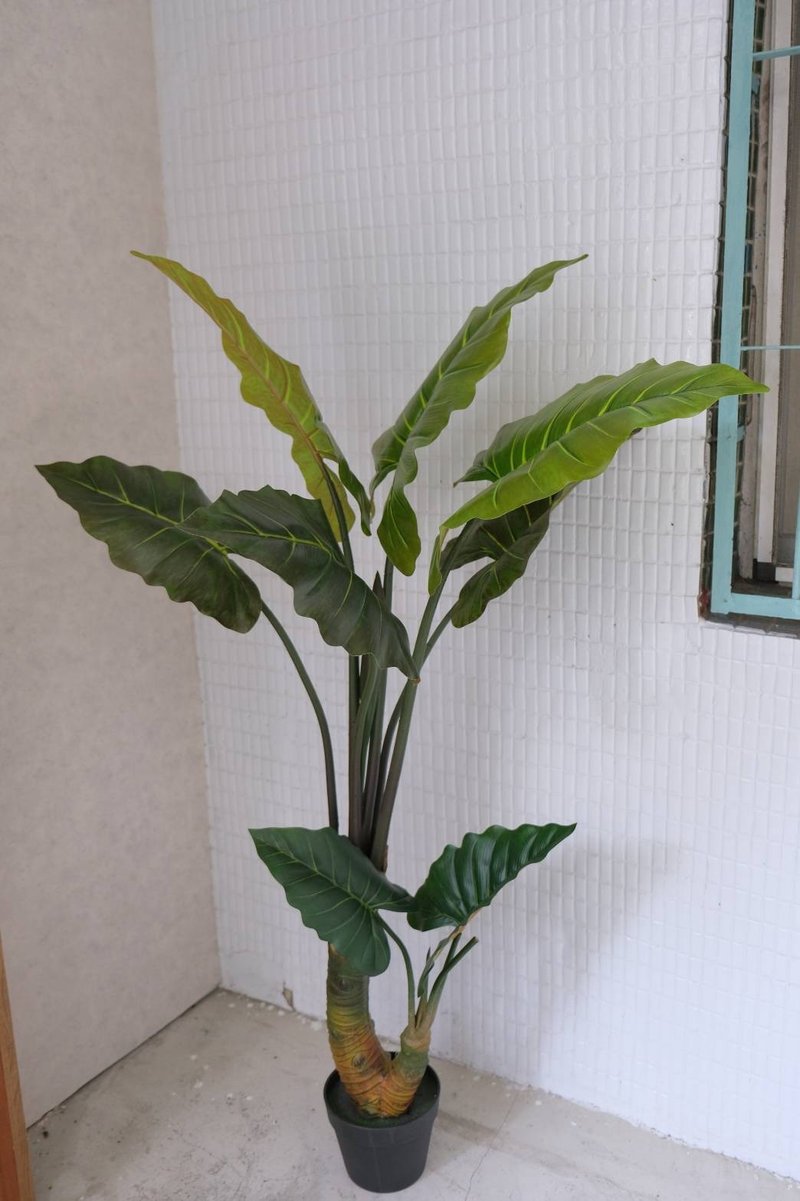 人造植栽/仿真姑婆芋/仿真植物/綠化/永不凋零 - 植栽/盆栽 - 塑膠 綠色