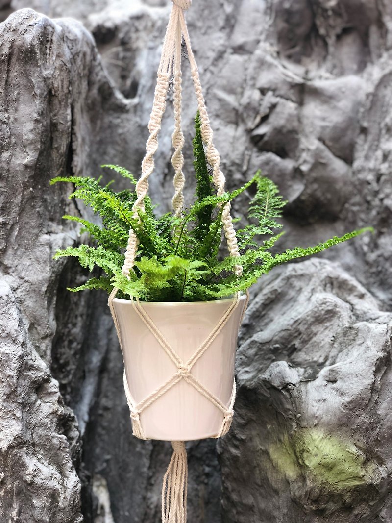 [Macrame Hanging Macrame Hanging] Hanging Planting_Three-strand Spiral Braided Rope Hanging Bowl Gift Planting - ตกแต่งต้นไม้ - ผ้าฝ้าย/ผ้าลินิน ขาว