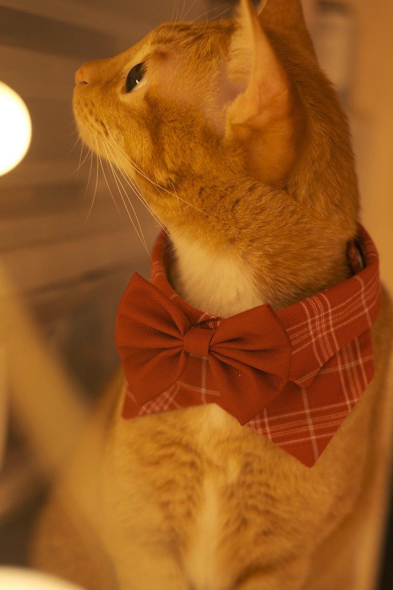 /聖誕限定 Christmas Edition/ 寵物紅色格子恤衫領連煲呔 - 寵物衣服 - 棉．麻 紅色