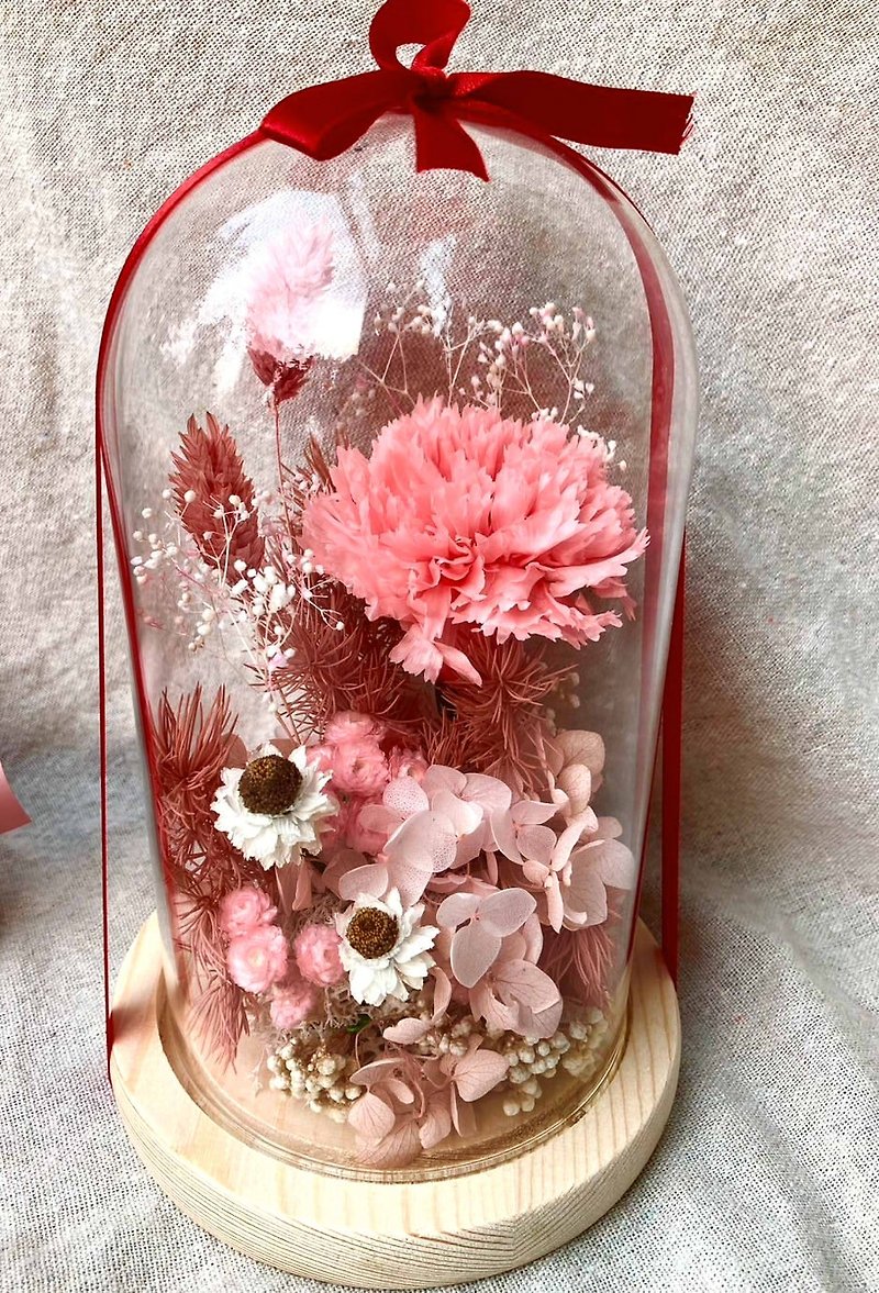 I will always love you/Mother’s Day immortal carnation glass cover/everlasting zinnia/dried flowers/potted flowers - ช่อดอกไม้แห้ง - พืช/ดอกไม้ สึชมพู
