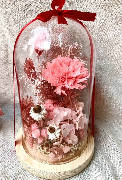 鯉花 Koiflora life 真的恆愛您/母親節永生康乃馨玻璃罩/永生百日草/乾燥花/盆花