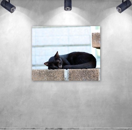 黑色獅子 無框複製畫 | 流浪黑貓A0009 | K藝術家
