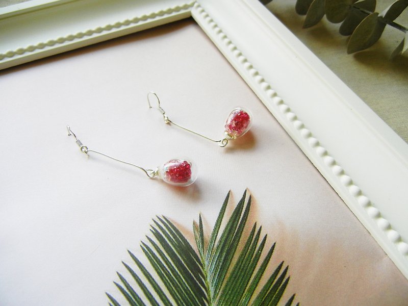 *Coucoubird*- flowers - red and white gradient diamond pieces earrings / 925 Tremella hook - ต่างหู - แก้ว สีแดง