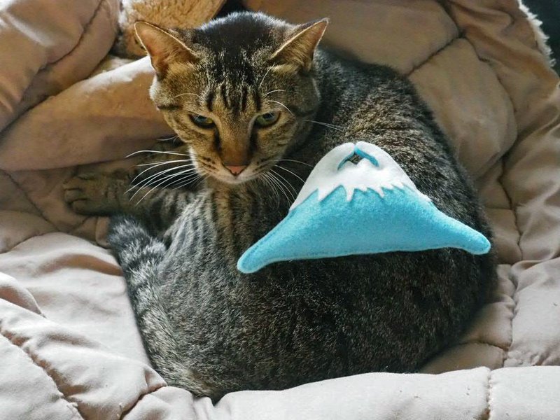 貓草包/貓草/富士山貓草/貓/富士山/貓玩具/手縫 - 貓/狗玩具 - 其他材質 