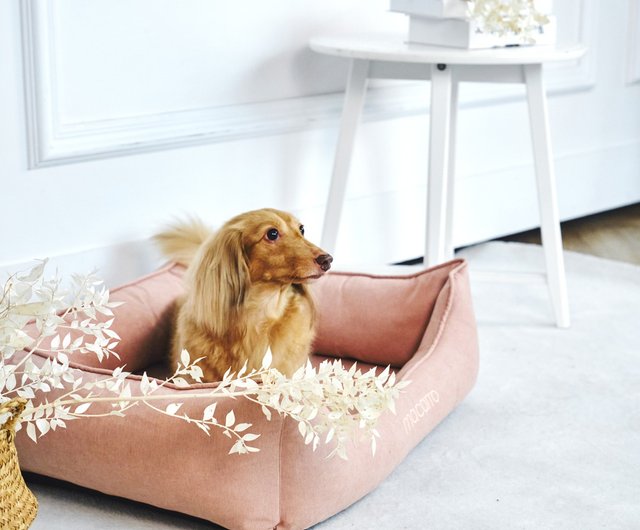 Latex on sale pet bed