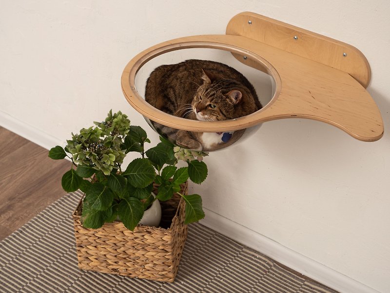Unique cat bubble Rustic cat bed Window cat perch - 寵物床墊/床褥 - 木頭 
