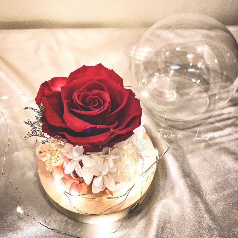 Beautiful night light eternal flower imported Ecuador big rose shining light cup texture gift Valentine's Day - Items for Display - Plants & Flowers Red