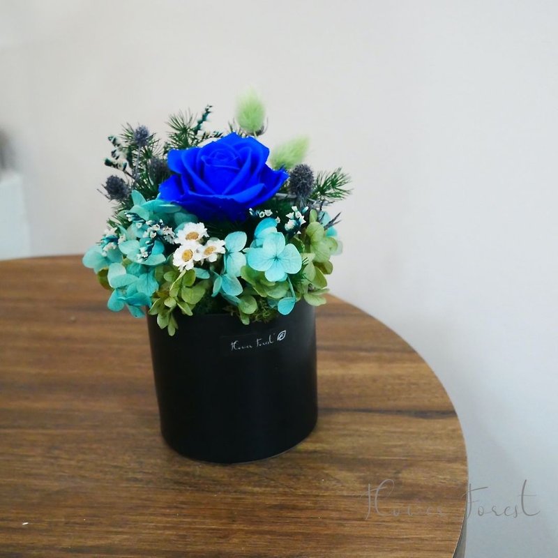 經典永生不凋寶藍玫瑰小桌花 - 植栽/盆栽 - 植物．花 藍色