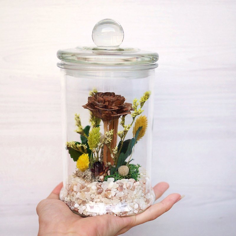 Flower Gift Collection-Autumn Fairy Tale Pine Rose Glass Bottle Dry Flower - ตกแต่งต้นไม้ - พืช/ดอกไม้ สีนำ้ตาล
