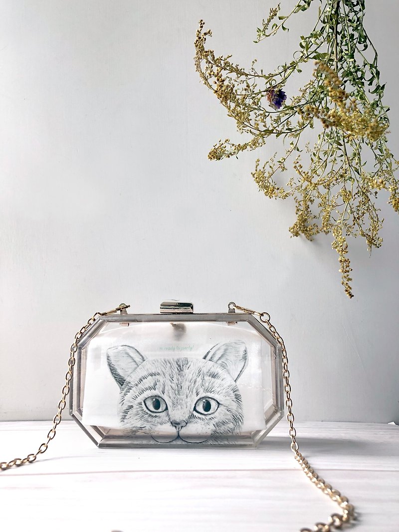 adc | animal | cat | box bag | - Other - Plastic Transparent