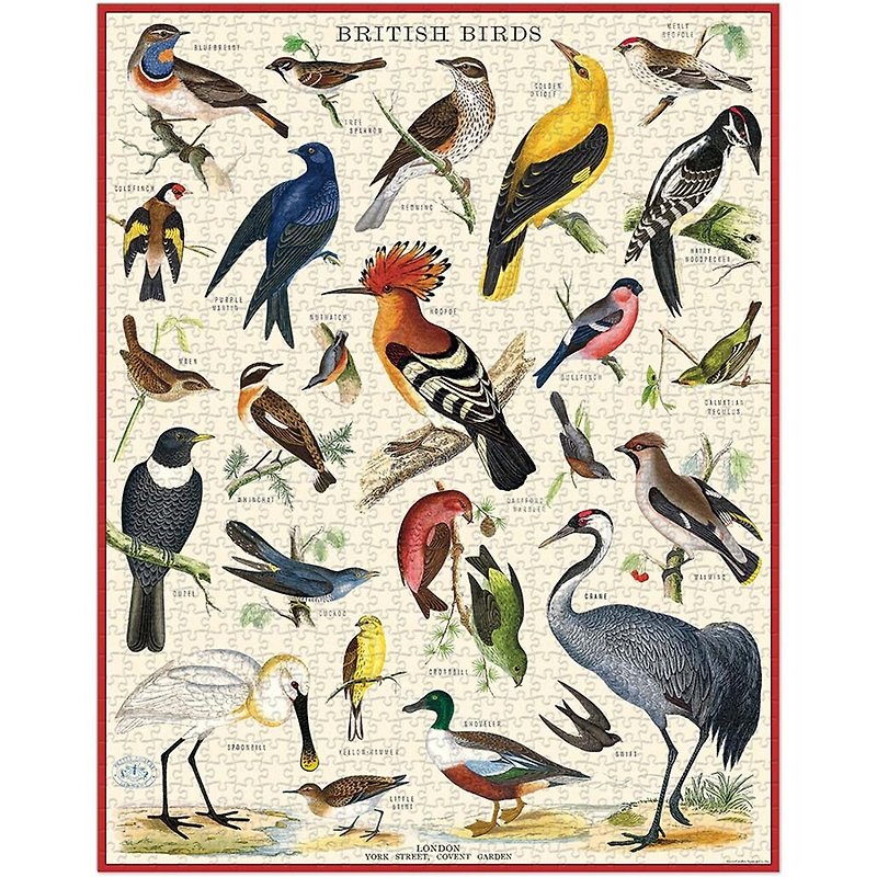 Cavallini & Co. Round jar 1000 piece puzzle_British Birds Illustrated Book - เกมปริศนา - กระดาษ หลากหลายสี