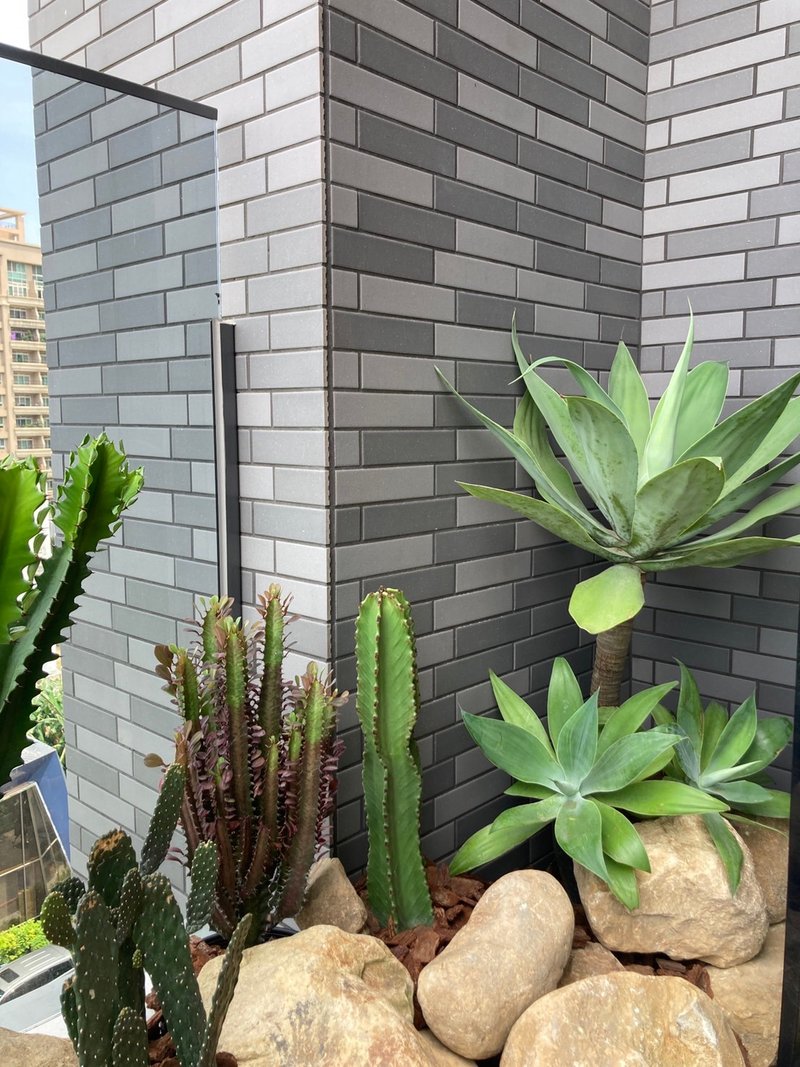 [Home greening] Light landscaping on home balcony - desert landscape greening layout - Plants - Plants & Flowers 