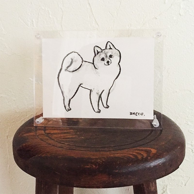 Shiba Inui faces this direction (with forehead) - Posters - Paper White