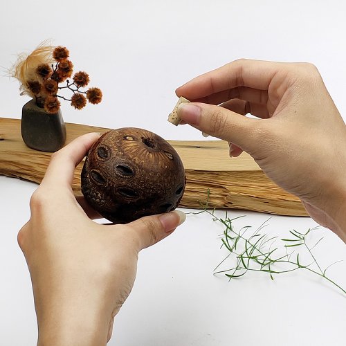 森學苑 Forest School 山龍眼擴香座組