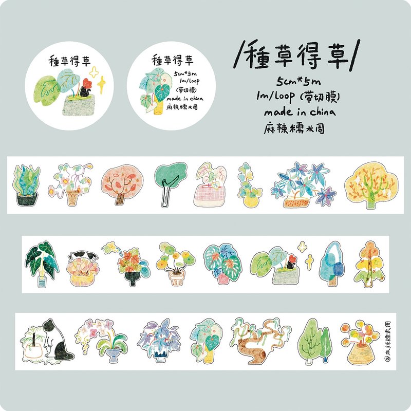 【膠帶】種草得草 PET 和紙膠帶 切膜 手帳隨心配 5米卷 - 紙膠帶/和紙/PET - 紙 多色