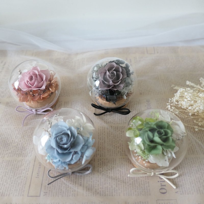 [Rose Bubble Glass Ball] Birthday gift/Lover gift/Graduation gift/Thank you gift - Dried Flowers & Bouquets - Plants & Flowers Pink